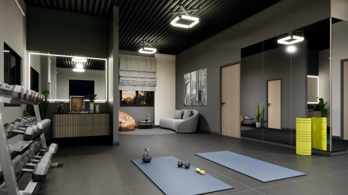 Home Gym — Mirror Wall & Equipment